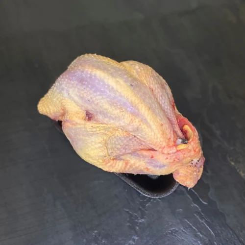 Plucked and Dressed Pheasant